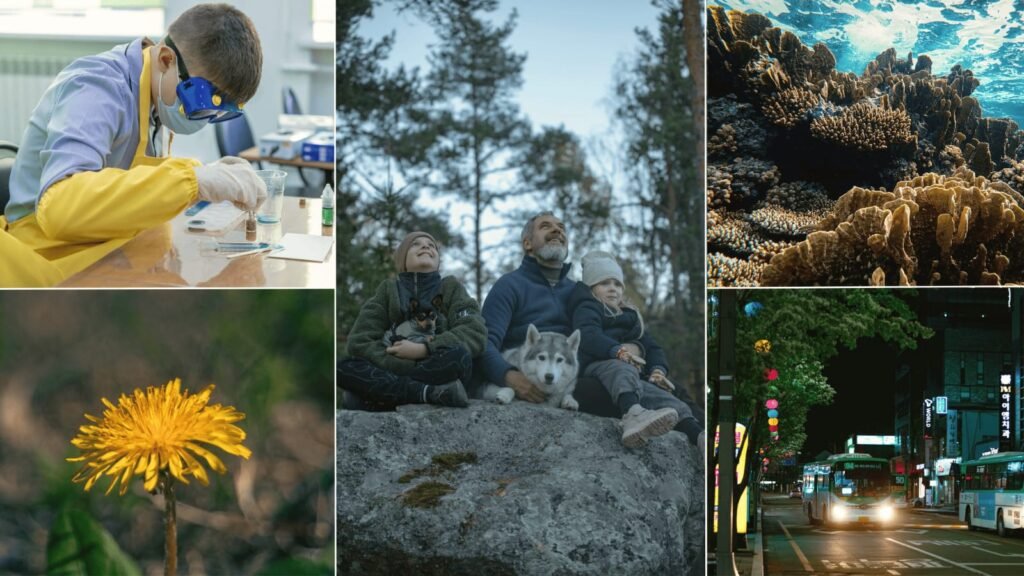 Top 5 positive news stories from January 2026 featuring science breakthroughs environmental recovery family wellbeing and urban progress