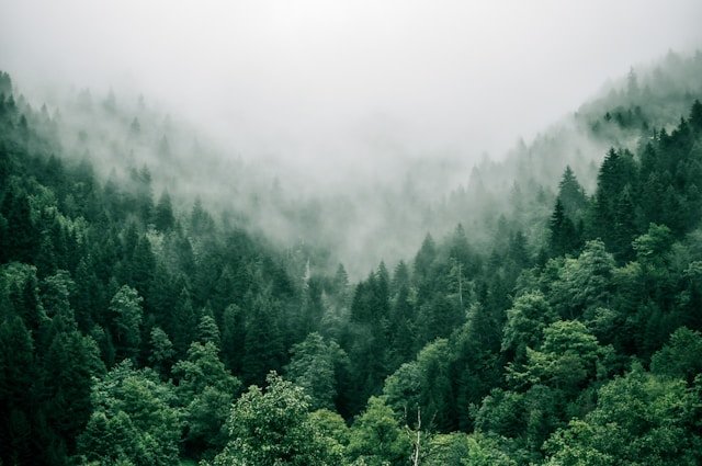 Environment
