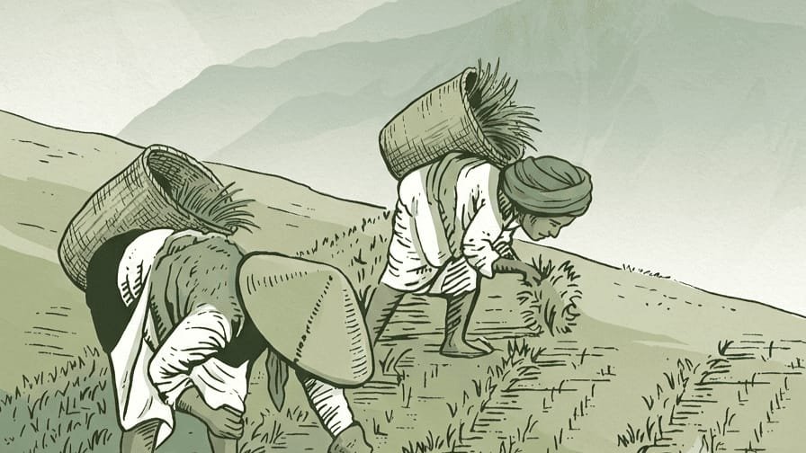 “Traditional pastoral workers carrying baskets through grasslands in India, reflecting the heritage, labour and connection to the land of pastoral communities.”